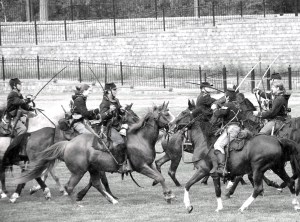 horses bayonets